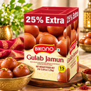 Bikano Gulab Jamun-1