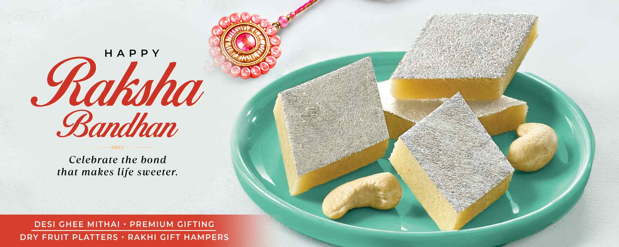 Raksha bandhan desktop website banner 2026